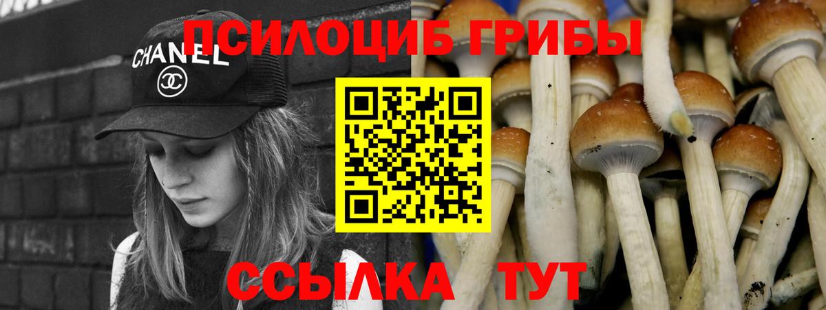 Галлюциногенные грибы мухоморы Касимов