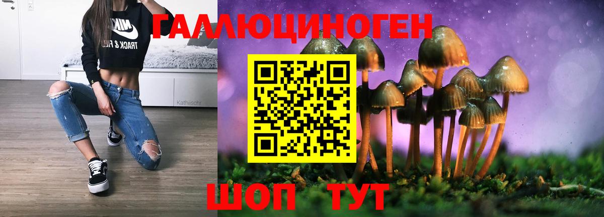 дарнет шоп  Галлюциногенные грибы прущие грибы  Вход с VPN  Касимов 
